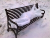 Snow Sculpture