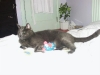 PICT0011_Small.jpg