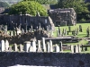 PICT0094_Small.jpg