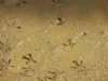 Barca0037_Small.jpg