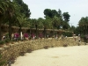 Barca0038_Small.jpg