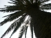 Barca0039_Small.jpg