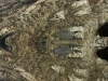 Barca0067_Small.jpg