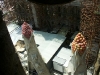 Barca0092_Small.jpg