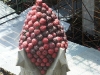 Barca0093_Small.jpg