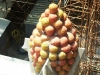 Barca0094_Small.jpg