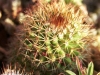 Barca0135_Small.jpg