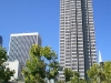 CIMG0272.JPG