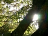 CIMG0385.JPG